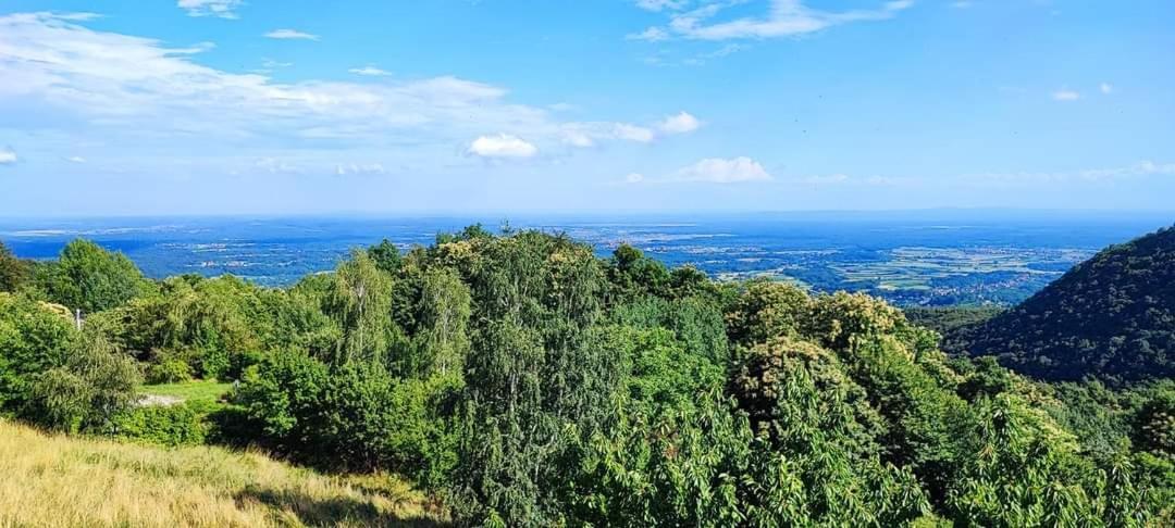 Villa Kuca Za Odmor Poljanica Okicka Jastrebarsko Exterior foto