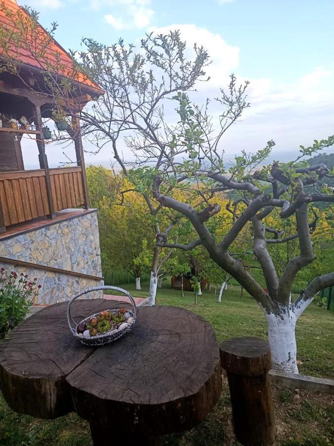 Villa Kuca Za Odmor Poljanica Okicka Jastrebarsko Exterior foto