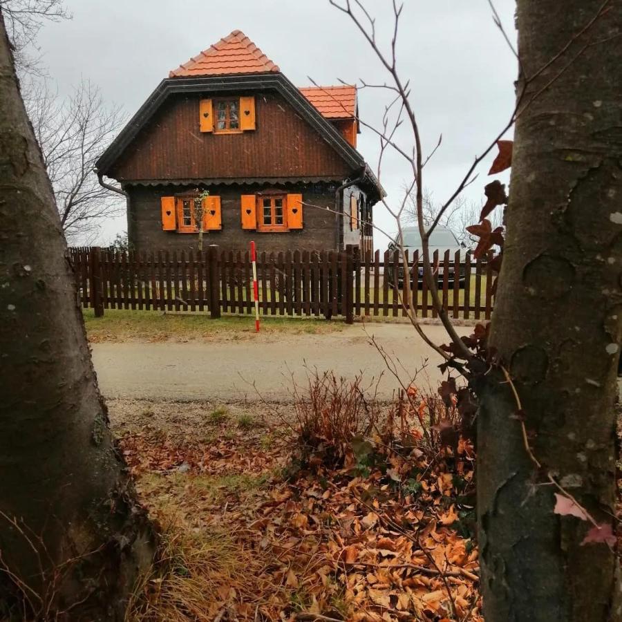 Villa Kuca Za Odmor Poljanica Okicka Jastrebarsko Exterior foto